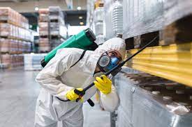 The Essential Guide to Commercial Pest Control Services